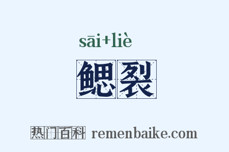 鳃裂是什么意思的图片
